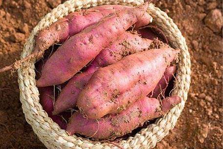 固德威機(jī)械 固德威機(jī)械