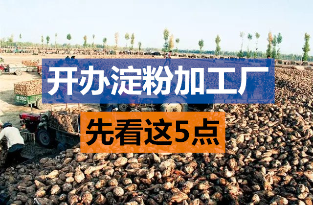 紅薯淀粉加工 紅薯淀粉加工